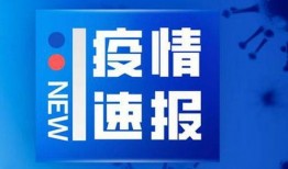吉林新闻爆料网最新消息,最新动态，揭秘吉林热点事件！