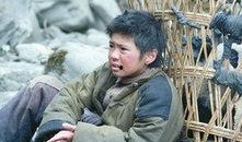 今日爆料回家路演员表