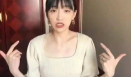 张南辰前女友爆料视频在线观看